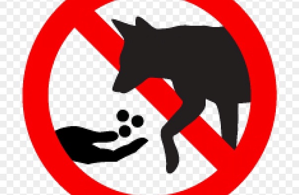 Внимание!!!!